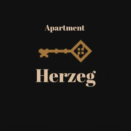 Beautiful View, Center Herzeg * モスタル